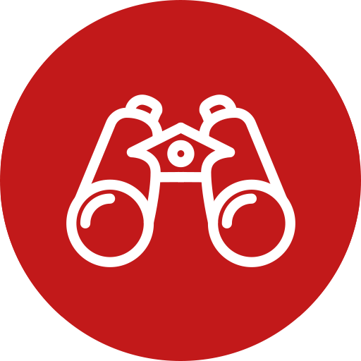 Netzlink binaculars