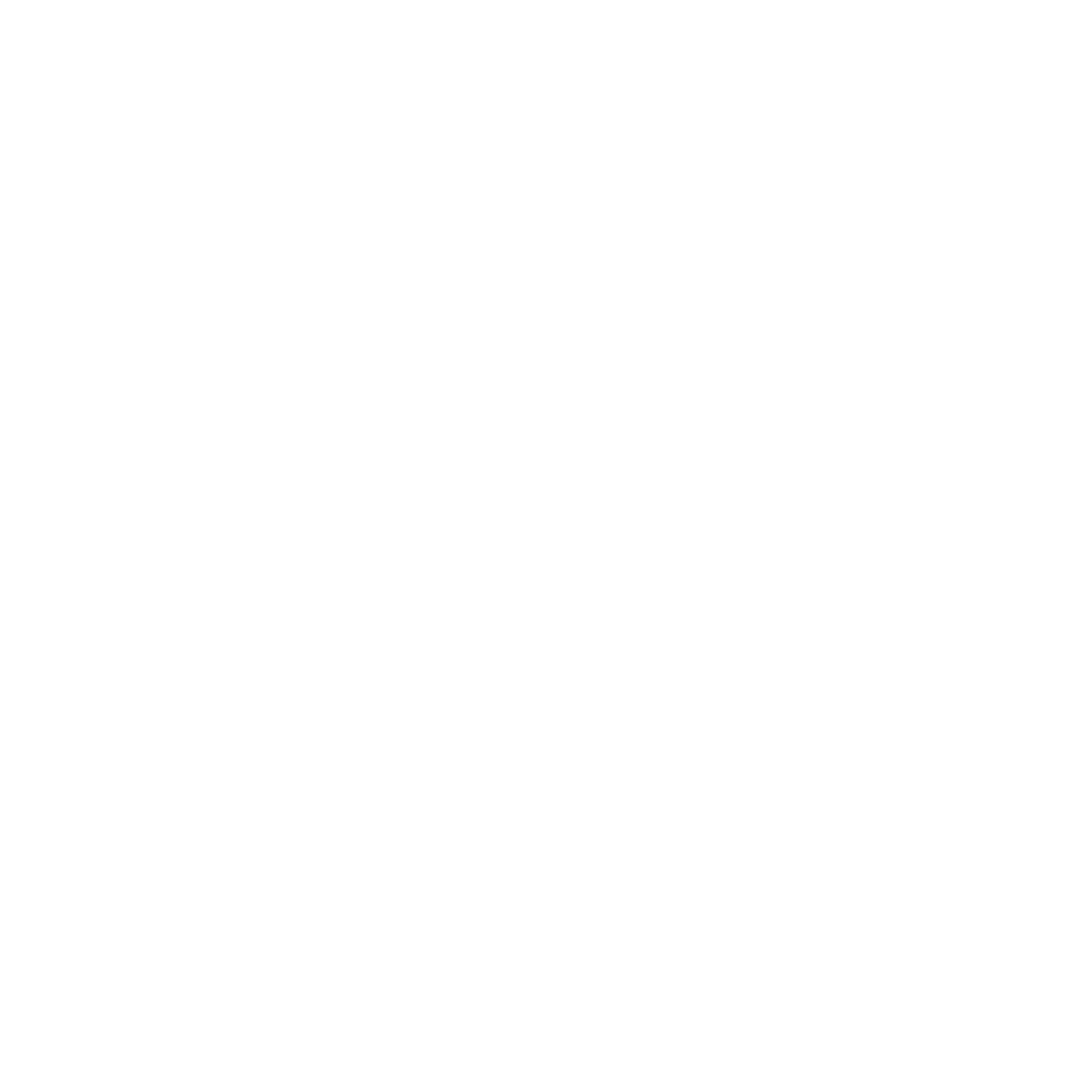 SORMAS Logo weiß
